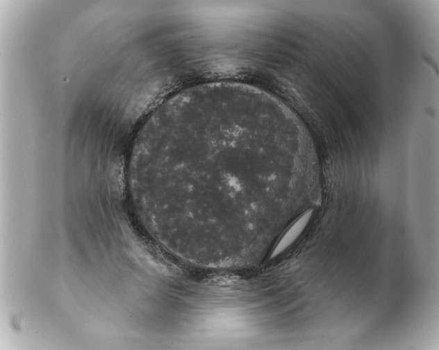 X0000102530642200808291821