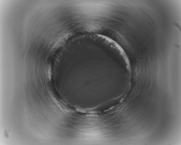X0000102530644200808291821