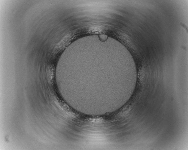 X0000102530645200808291821