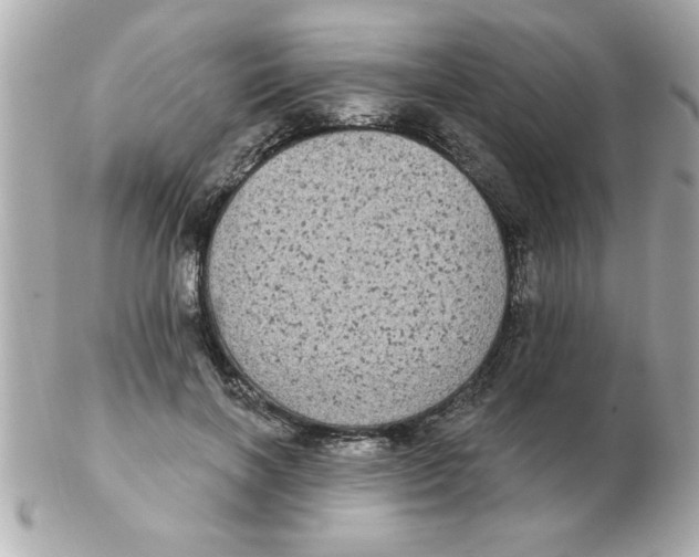 X0000102530646200808291821