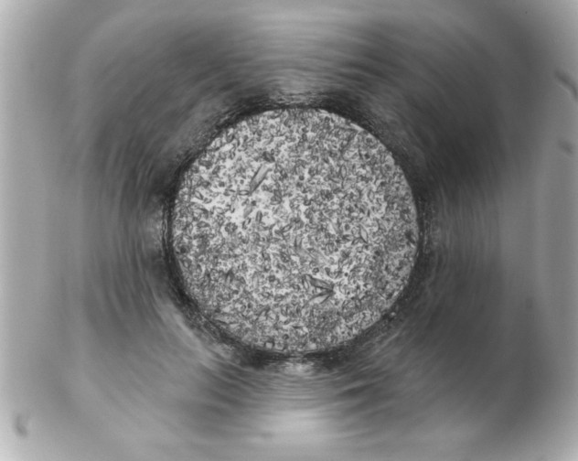 X0000102530647200808291821