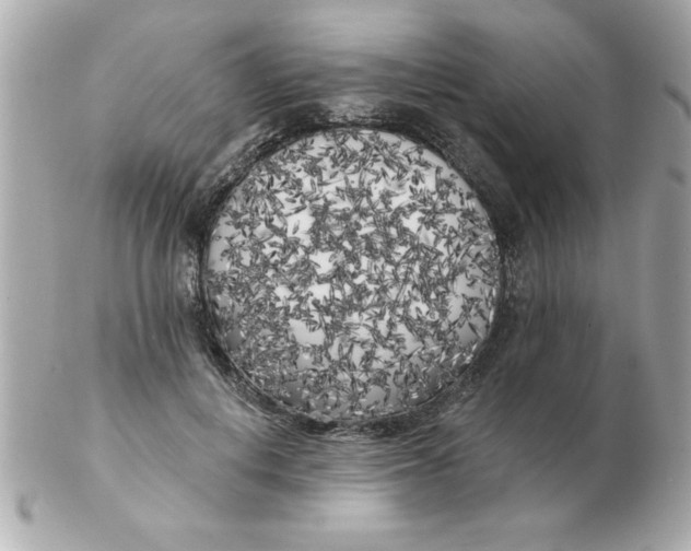 X0000102530648200808291821