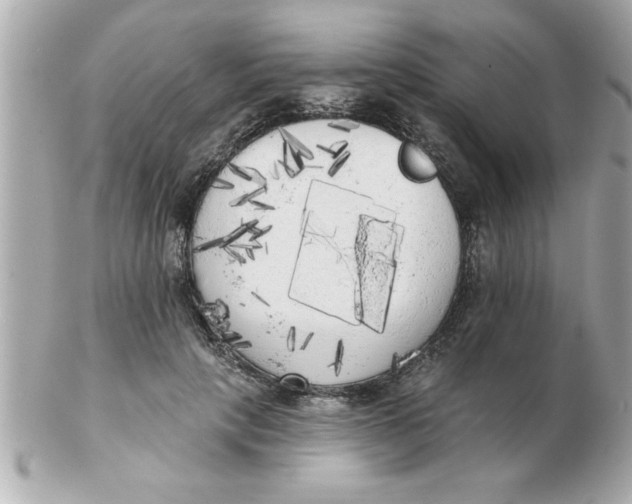 X0000102530649200808291821