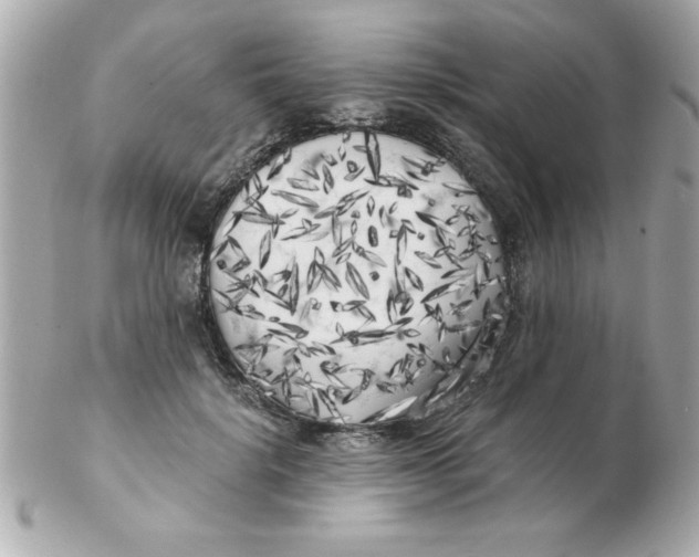X0000102530652200808291821
