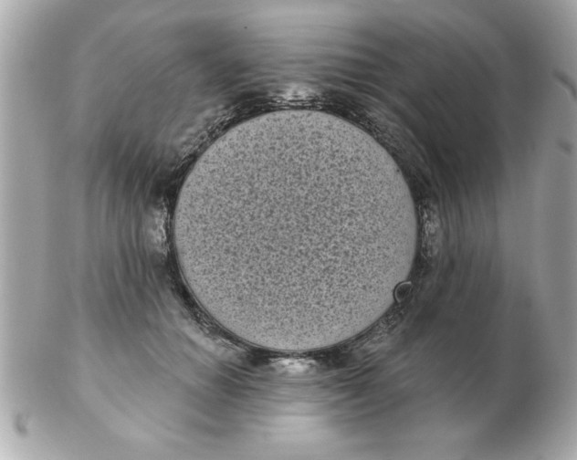 X0000102530654200808291821