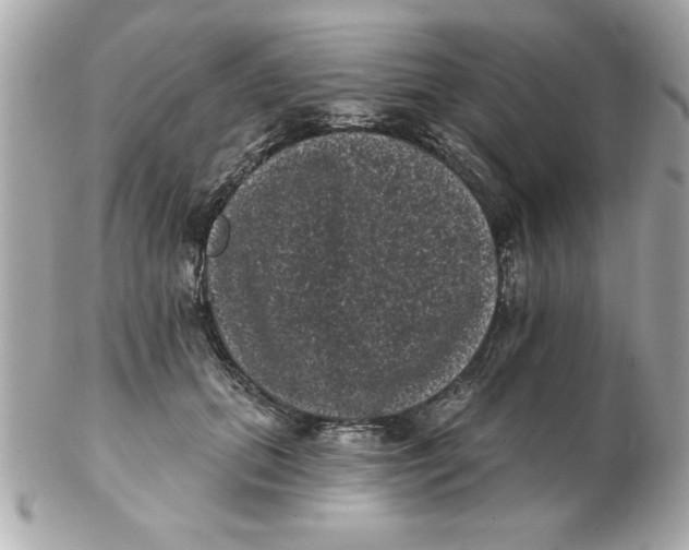 X0000102530655200808291821
