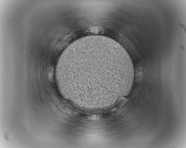 X0000102530656200808291821