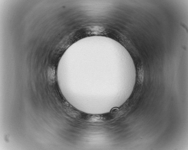 X0000102530657200808291821