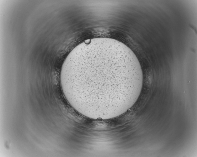 X0000102530658200808291821