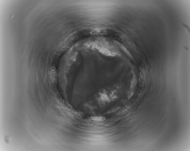 X0000102530659200808291821