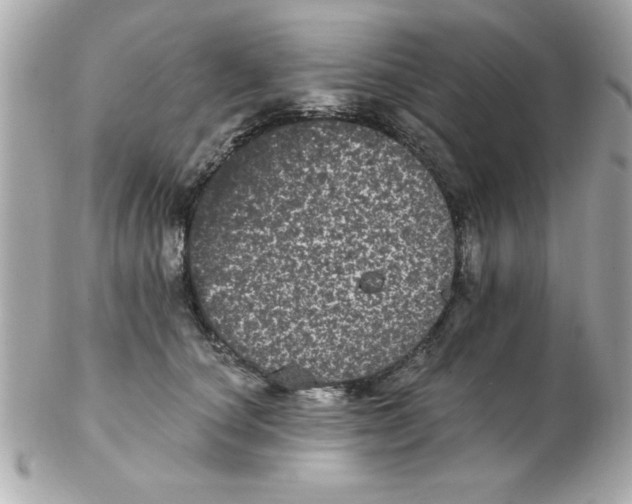 X0000102530660200808291821