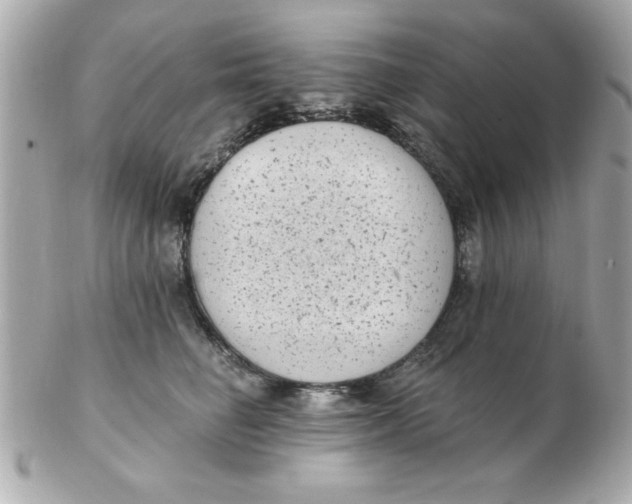 X0000102530662200808291821