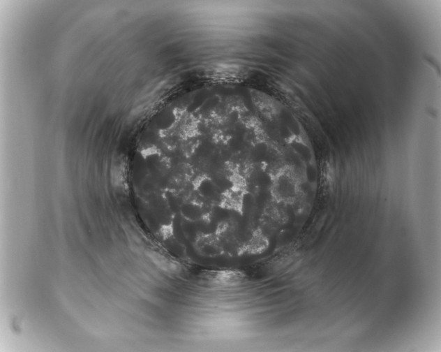 X0000102530663200808291821