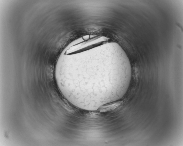 X0000102530664200808291821