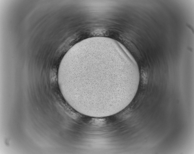 X0000102530665200808291821