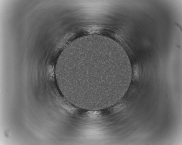 X0000102530667200808291821