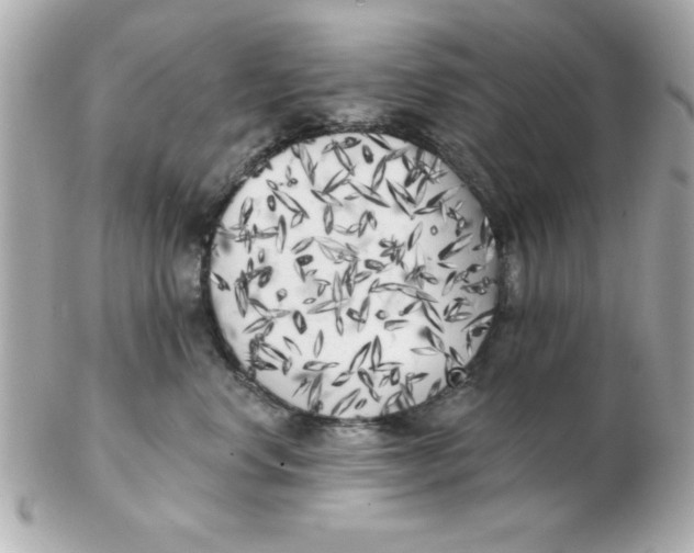 X0000102530668200808291821