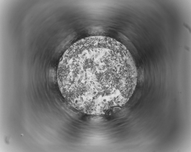 X0000102530669200808291821