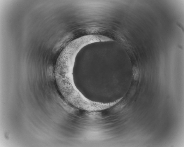 X0000102530670200808291821