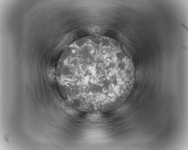 X0000102530671200808291821