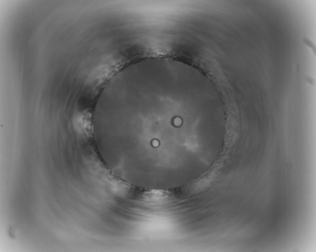 X0000102530672200808291821