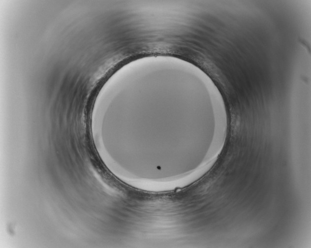 X0000102530674200808291820