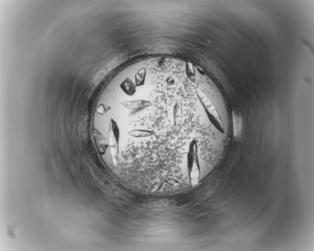 X0000102530675200808291820