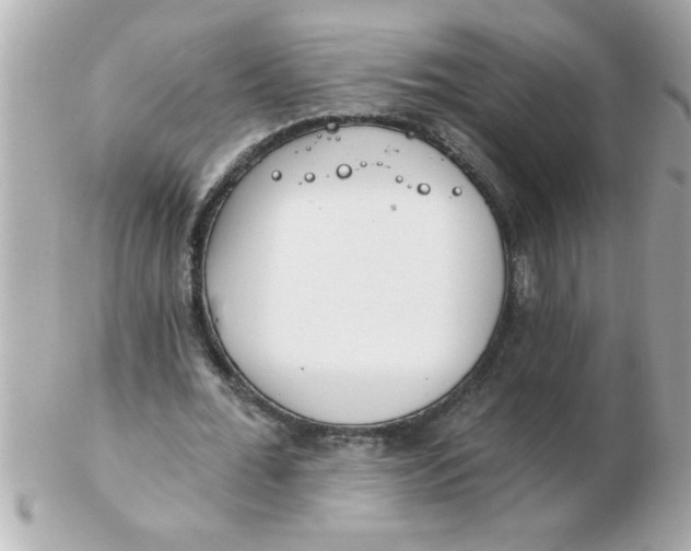 X0000102530676200808291820