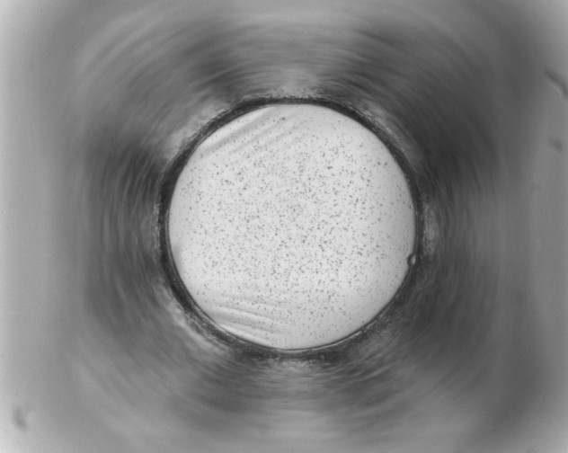 X0000102530677200808291820