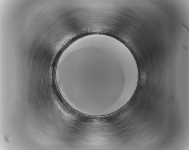 X0000102530678200808291820