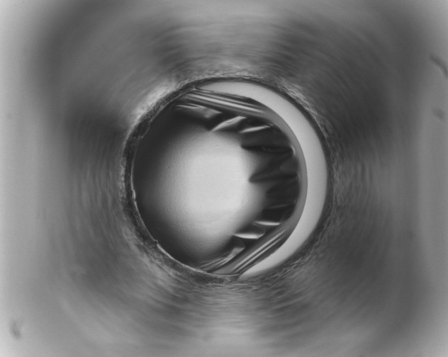X0000102530679200808291820