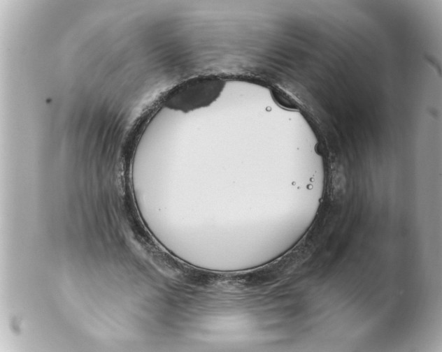 X0000102530680200808291820