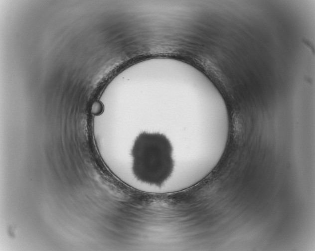 X0000102530684200808291820