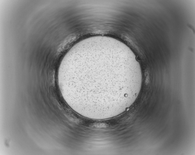 X0000102530685200808291820