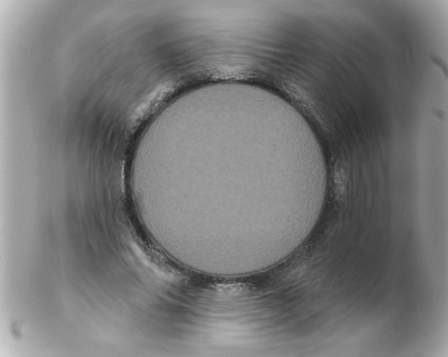 X0000102530686200808291820