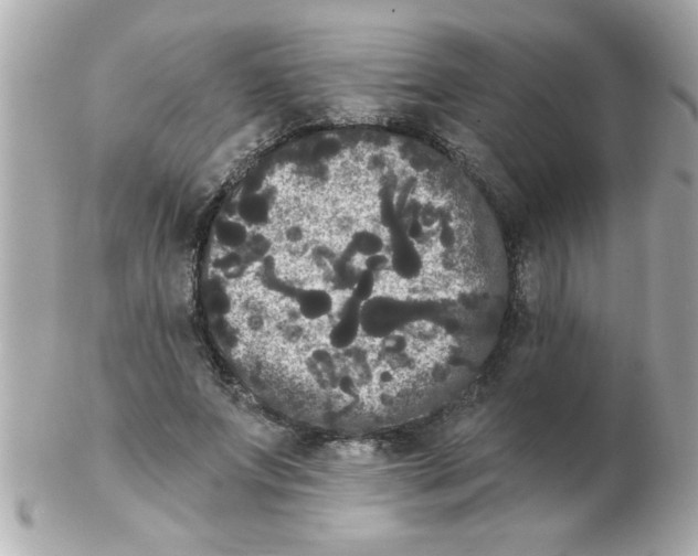 X0000102530687200808291820