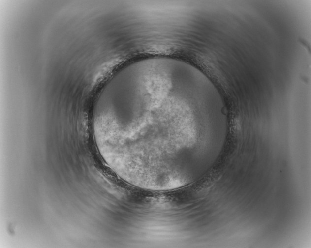 X0000102530688200808291820