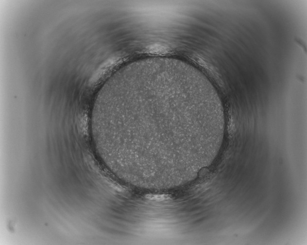 X0000102530689200808291820