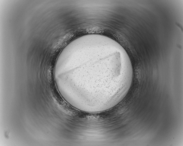 X0000102530690200808291820