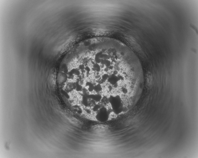 X0000102530691200808291820