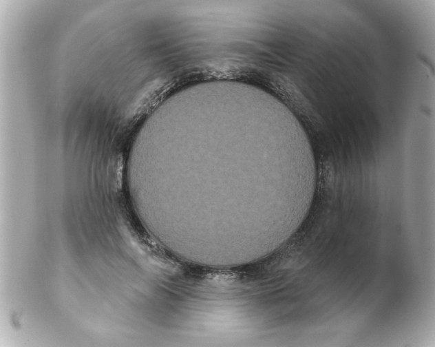 X0000102530694200808291820