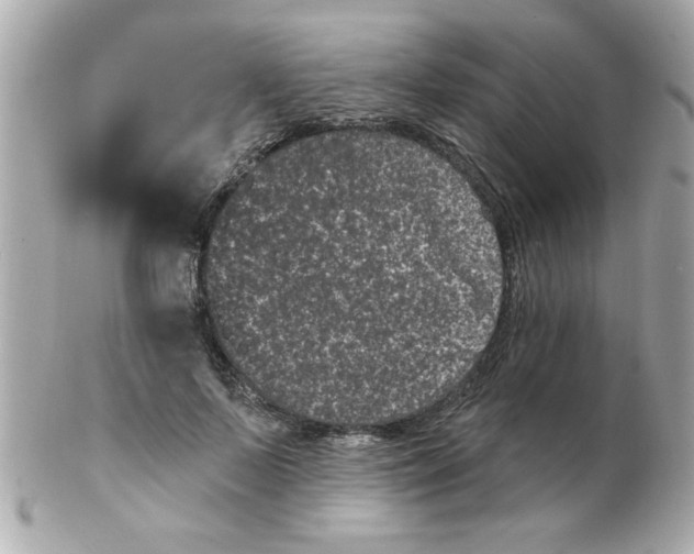 X0000102530695200808291820