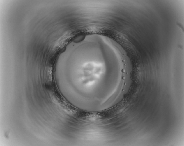 X0000102530696200808291820