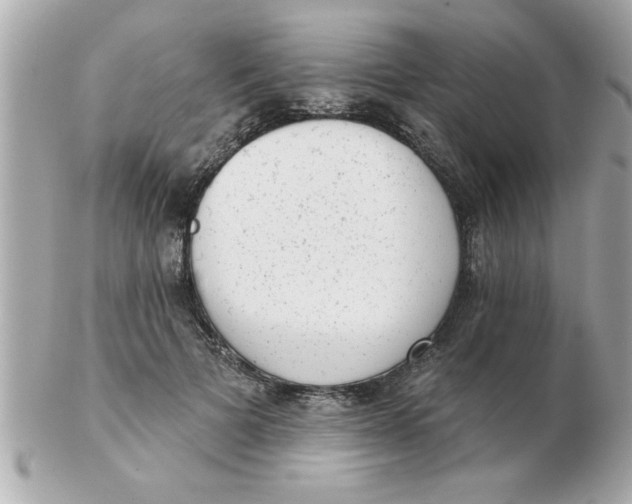 X0000102530697200808291820