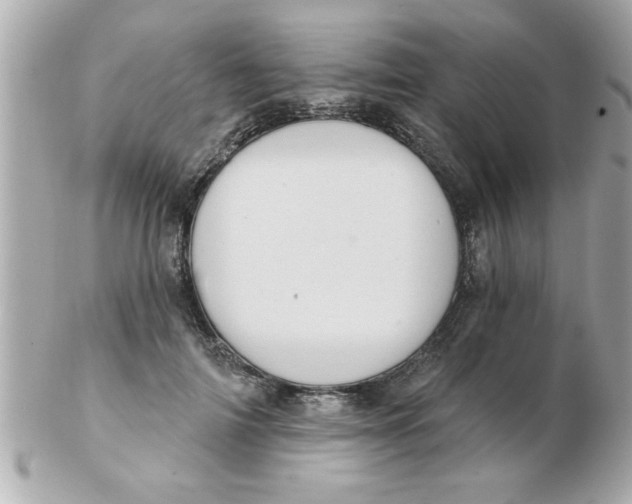 X0000102530698200808291820