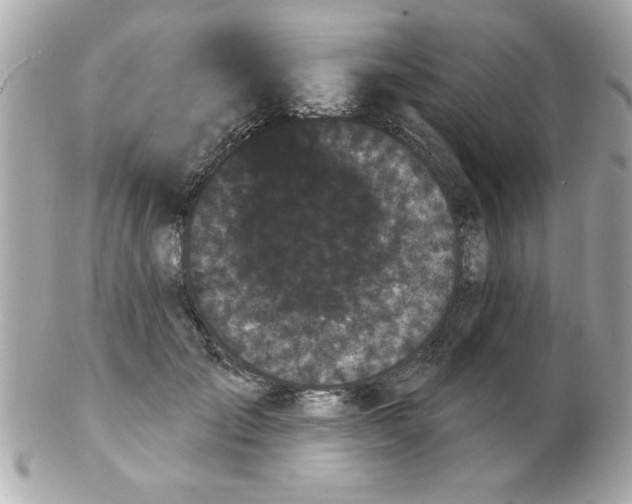 X0000102530701200808291820