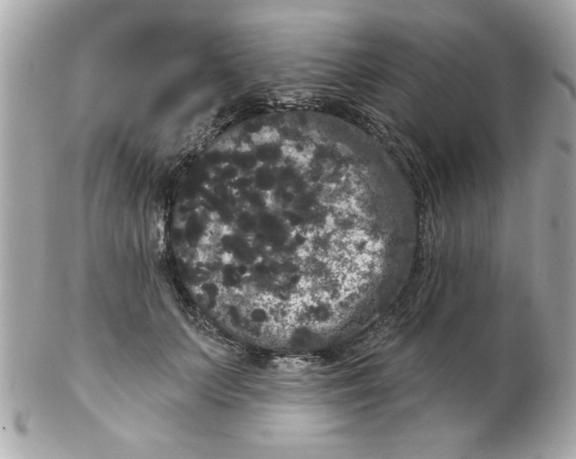 X0000102530703200808291820
