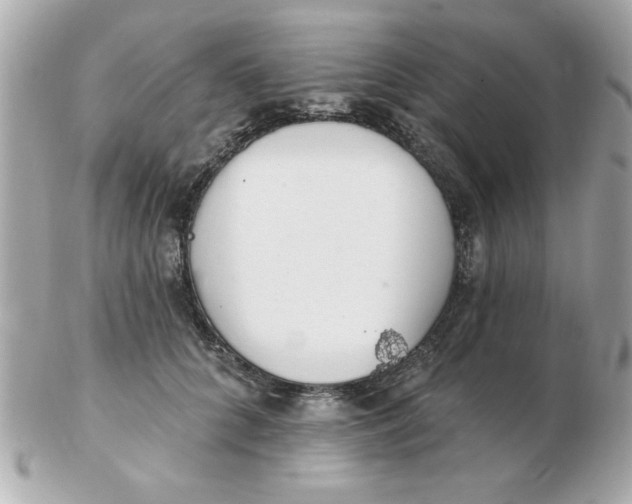 X0000102530704200808291820