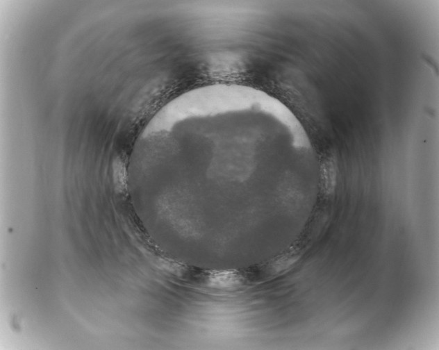 X0000102530705200808291820