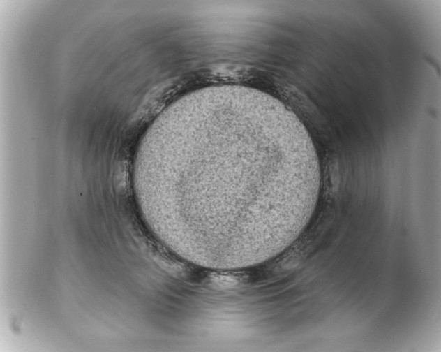X0000102530706200808291820